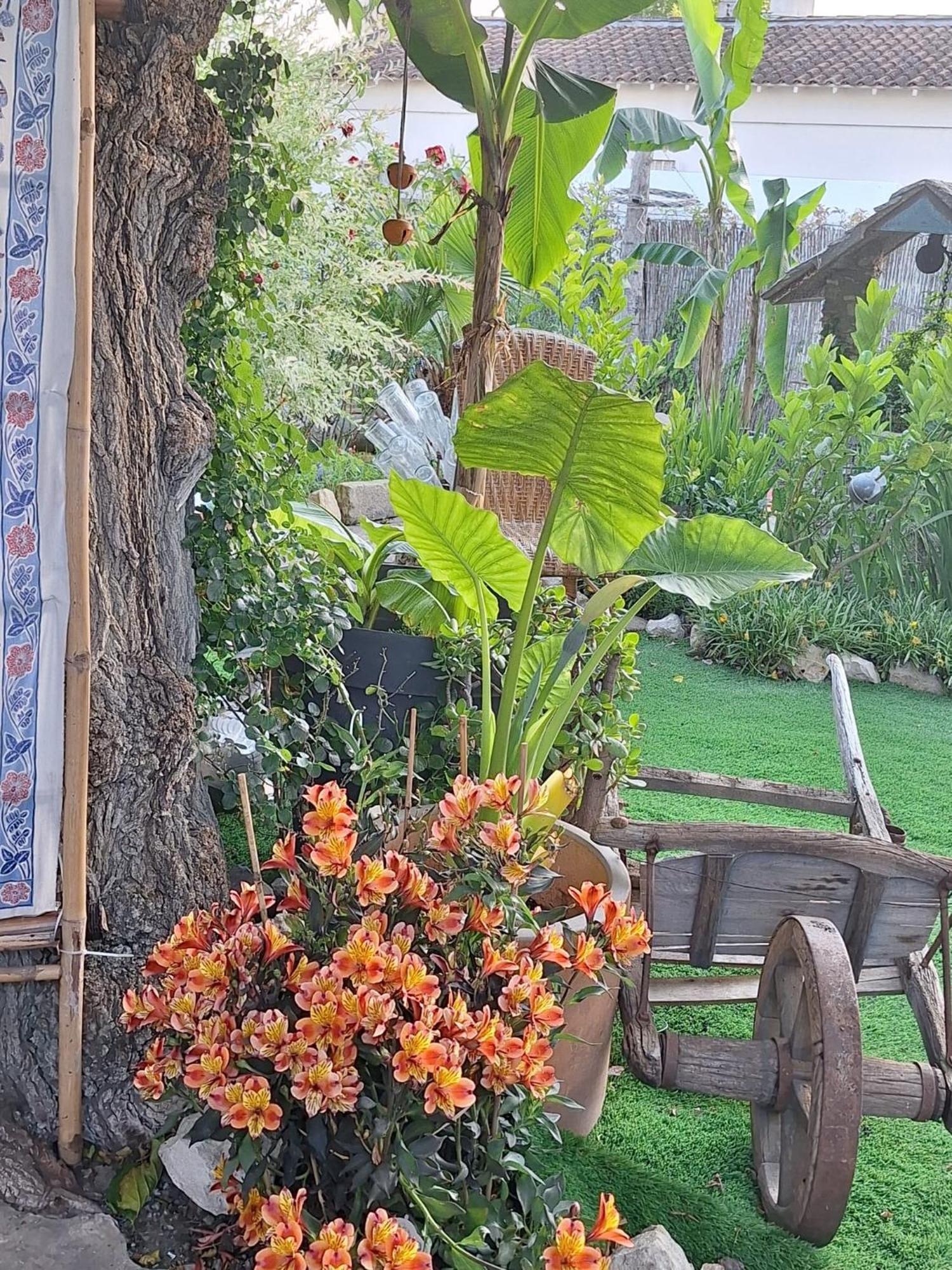 Site Paradis Rue Colibri Avignon Eksteriør bilde
